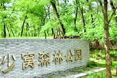 Shawo Forest Park