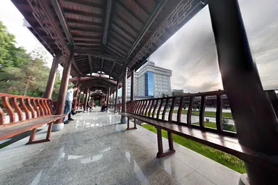 Chinese Garden