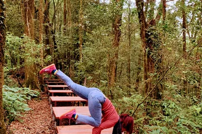 Annie Bliss Yoga