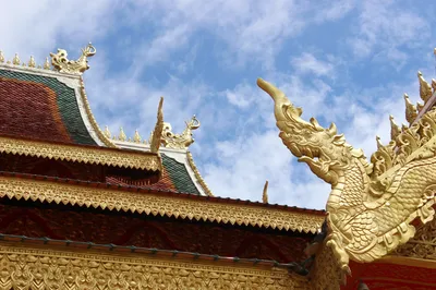 雲南西雙版納自駕9日遊（續）