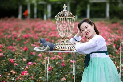 來自“玫瑰王國”的玫瑰稀貴，這裏有幾千畝，質感如絲綢