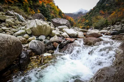 唐家河自然風景區