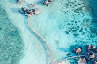 turtle reef Coco