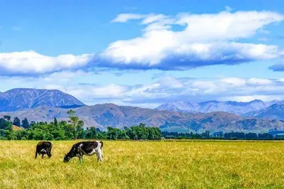 Lvwei Cultural Tourism: Four Key Priorities for Innovation and Enhancement of Rural Tourism