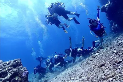 Sunkissed Divers Okinawa