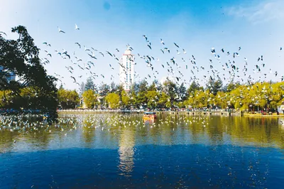 2020 National Day Yunnan Kunming 3-Day Free Travel Guide, Nearby Hotel and Hostel Recommendations on Nanping Street