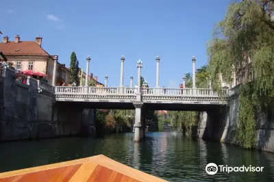 Barka Ljubljanica by Lakercraft d.o.o.