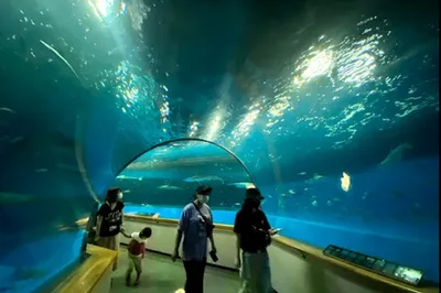 OCEANS Mihara Undersea Tourist Center