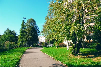 Park Zaczarowanej Dorożki w Krakowie