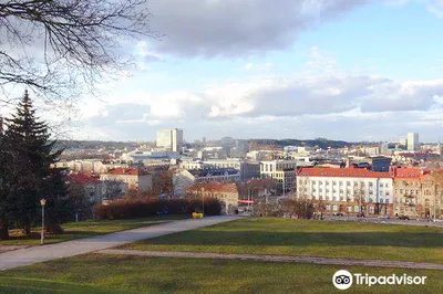 Tauras Hill