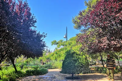 Zahran Park