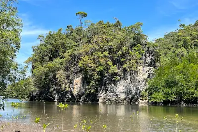 Langkawi Mangrove Kayaking by Jack