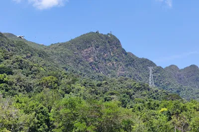 Machinchang PetLand Langkawi By ENR