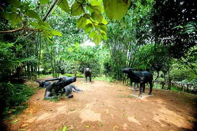 Khu du lịch sinh thái Bản Rõm