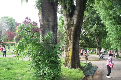 Giardino Giovanni Testori