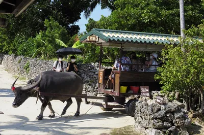 Taketomi Tourist Center