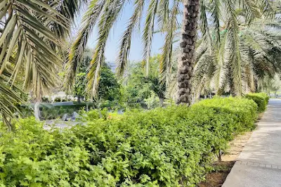 Azaiba Public Park