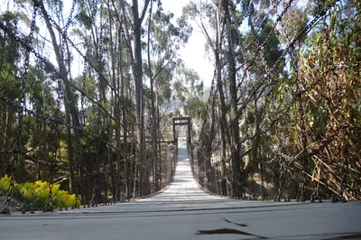 Pura Pura Skatepark