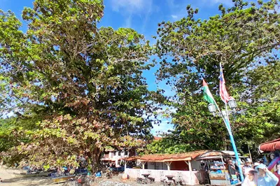 Jeti Teluk Baru