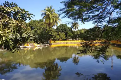 Ho Chi Minh and The fifth military zone Museum