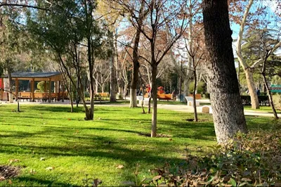 Vaso Godziashvili's Park