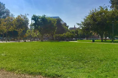 St James Park
