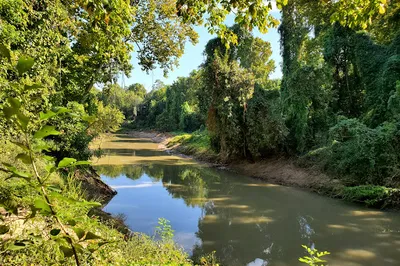 Terry Hershey Park Hike & Bike Trail