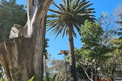 Parque Alfonso XIII
