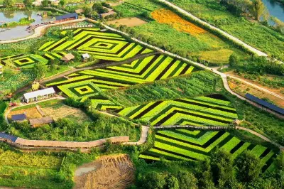 阳朔山水遇农园景区