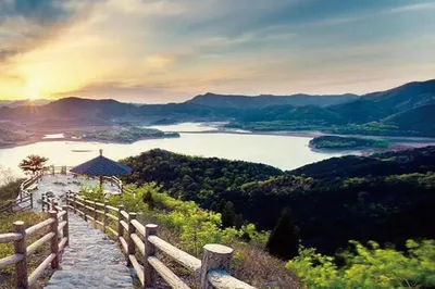 A Place Where Every Breath Teems with Life