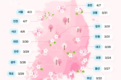 2024年首尔赏樱攻略（附韩国樱花开花预测)
