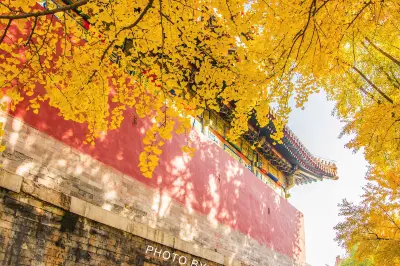 御花園