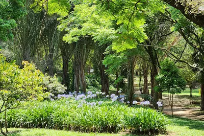 Parque Lions Clube Tucuruvi