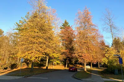 Champlain Heights Park