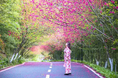 武汉赏花好去处，在花乡茶谷网红“贵妃南极红大道”感受最美的春天