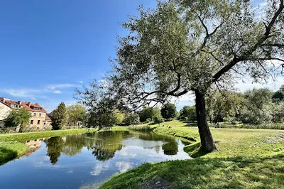 Subačiaus apžvalgos aikštelė
