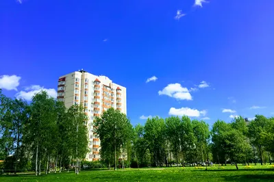 Park Stroiteley