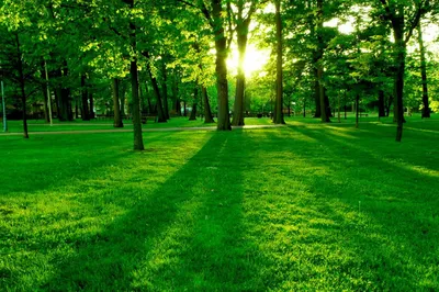 深圳寶藏式公園筆架山|免費|GET森系小清新打卡聖地|