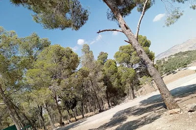 Ghamadan Zoo