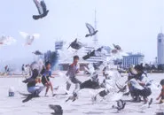 情人眼里看包头