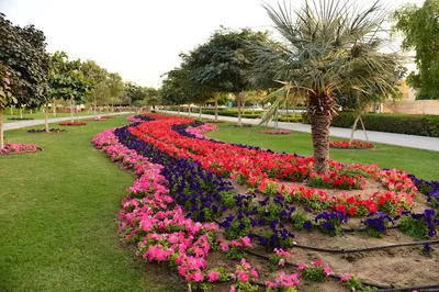 Najma Street Park