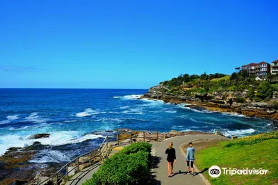 Bondi to Coogee Walk