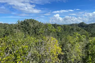 Bosque Estatal de Guajataca