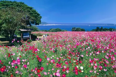 能古岛海岛公园