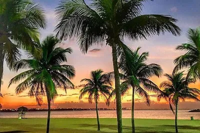 Praia da Alvorada