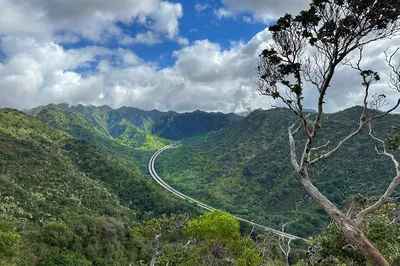 Aiea Loop Trail