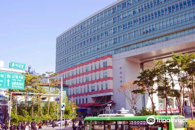弘益大学(首尔校区)