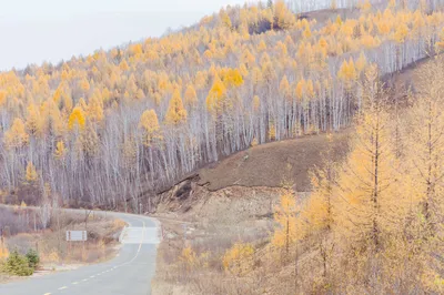 边防公路