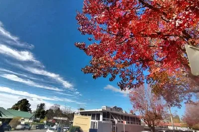 Sydney's Maple Leaf Town Blackheath is definitely the most worthwhile autumn destination