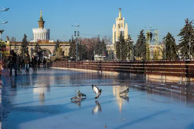 Katok Na Vdnkh